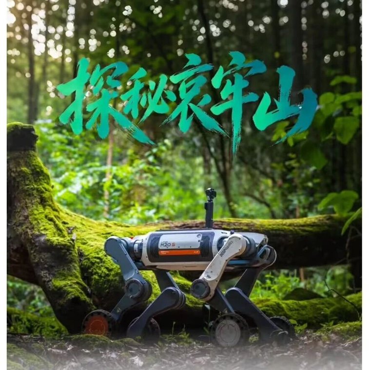 【国内动态】哀牢山迎来首位“机器人科考队员”,云深处山猫 M20S 拍到“冥界之花”