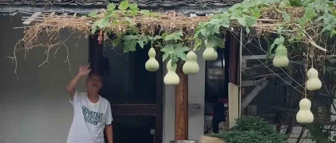 “葫芦娃爷爷”隔壁咖啡店因悬挂同款葫芦遭大量差评，店主已撤下新添葫芦：尊重网友评价